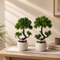 Pair of 2 Artificial Bonsai Plants – Decorative Plant pair with White & Gold Pots