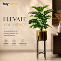 Modern Black & Gold Metal Plant Stand Set – Indoor Flower Pot Display Stand