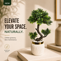 Artificial Bonsai Plant – Decorative Plant with White & Gold Pot