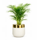 Luxury White Decorative Flower Pot with Gold Rim – Modern Indoor Planter