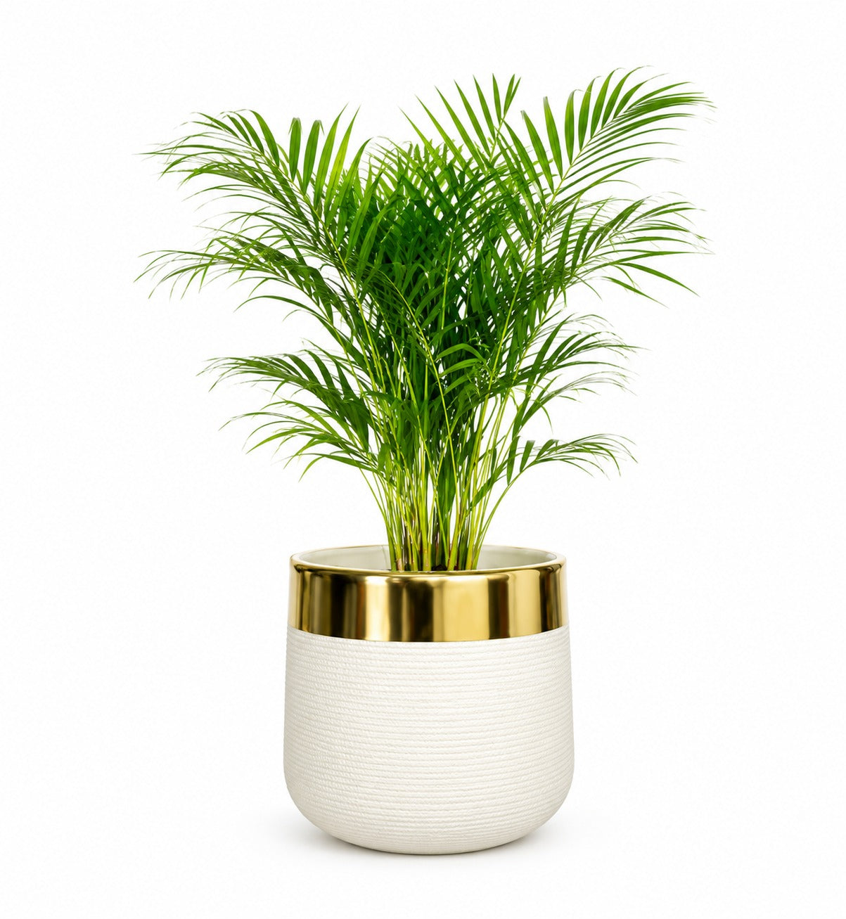 Luxury White Decorative Flower Pot with Gold Rim – Modern Indoor Planter
